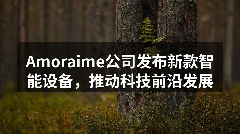 Amoraime新款智能设备发布会现场