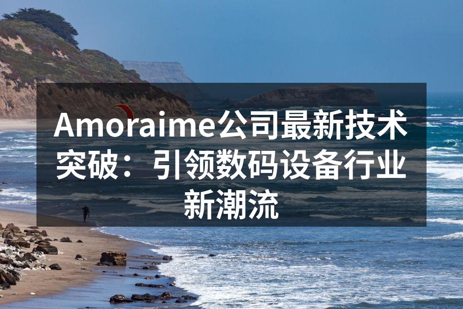 Amoraime团队进行技术研发