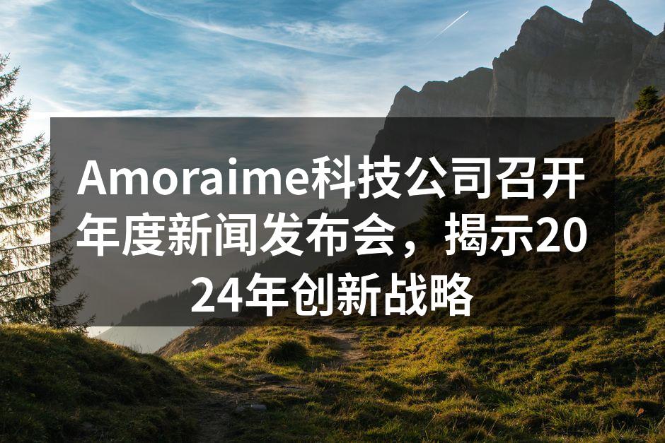 Amoraime年度新闻发布会现场